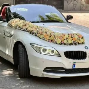 bmw-wedding-car-1024x614