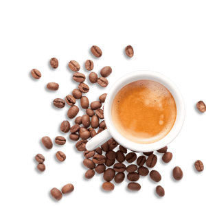 Nes_ConEco3.0_B2_Article23-TypesOfCoffeeExplained_HeaderImage_2880x1660